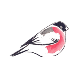 illustration-bouvreuil-v2 https://www.lagondebrehec.bzh/wp-content/uploads/2022/07/illustration-bouvreuil-v2-320x320.png