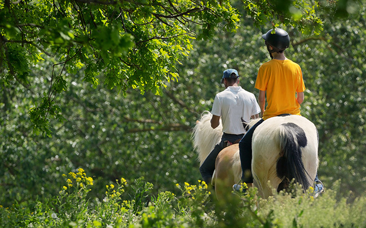 https://www.lagondebrehec.bzh/wp-content/uploads/2023/07/activite_equitation_01.jpg